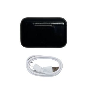 Extra Charging Case & Cable (RIC Bluetooth Hearing Aids)